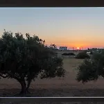 Olivine פארוס